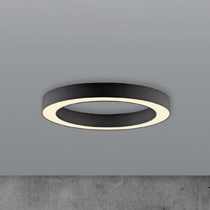 PURE Plafonieră LED Lines, Ø 35 cm, grafit, CCT, telecomandă, reglabil, Negru, Camera de zi / sufragerie, Metal, Modern