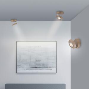 PURE Plafonieră LED Oculis, culoare bronz, Ø 15 cm fier/sticlă, reglabil, Bronz / Alamă Veche, Camera de zi / sufragerie, Metal, Modern