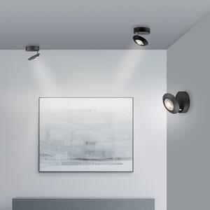 PURE Plafonieră LED Oculis, negru, Ø 15 cm, fier/sticlă, reglabil, Negru, Camera de zi / sufragerie, Metal, Modern