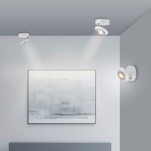 PURE Plafonieră LED Oculis, albă, Ø 15 cm, fier/sticlă, reglabil, Alb, Camera de zi / sufragerie, Metal, Modern