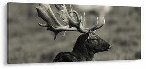 Tablou - Cerb (120x50 cm)