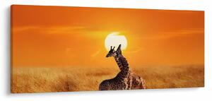 Tablou - Girafe în Parcul Național Serengeti (120x50 cm)