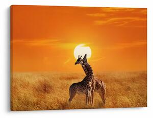 Tablou - Girafe în Parcul Național Serengeti (70x50 cm)