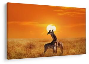 Tablou - Girafe în Parcul Național Serengeti (90x60 cm)