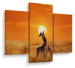 Tablou - Girafe în Parcul Național Serengeti (90x60 cm)