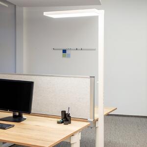 Maul Lampadar LED de birou MAULjura, albă, aluminiu, 196,5 cm, 4000 K, reglabil, Alb, Studiu / Birou, Aluminiu, Modern
