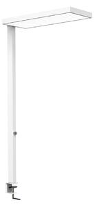 Maul Lampa cu clemă LED MAULjura, albă, aluminiu, dimabil, 100 cm, reglabil, Alb, Studiu / Birou, Aluminiu, Modern