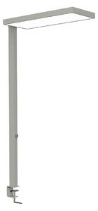 Maul Lampa cu clemă LED MAULjura, culoare argintiu, dimabil, 100 cm, reglabil, Metalic, Studiu / Birou, Aluminiu, Modern