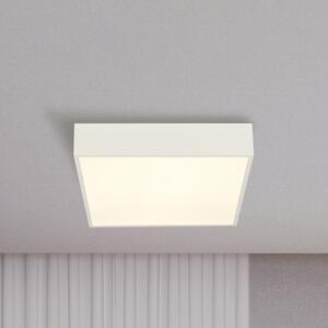 Searchlight Plafonieră LED pentru baie Zeus, albă, lungime 30 cm, metal, Alb, Baie, Aluminiu, Modern