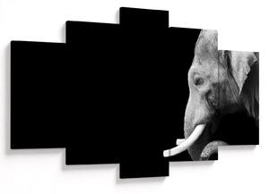 Tablou - Elefant (150x105 cm)
