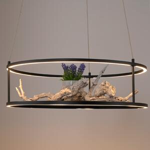 Paul Neuhaus Lampă suspendată LED Conni de la Neuhaus, negru, Ø 50 cm, reglabil, Negru, Camera de zi / sufragerie, Metal, Modern
