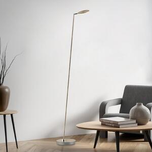 Paul Neuhaus lampadar LED Akku-Bente, alamă, CCT, USB-C, reglabil, Auriu / Alamă, Studiu / Birou, Metal, Modern