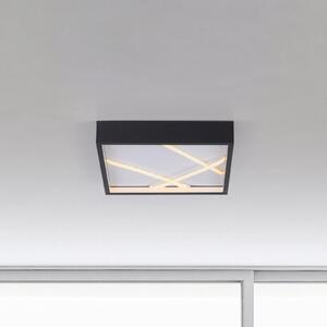 JUST LIGHT. GmbH plafonieră LED Mikado, 30 x cm, negru, reglabil, Negru, Camera de zi / sufragerie, Metal, Modern