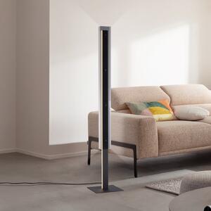 Schöner Wohnen lampadar LED Lena, fier, negru, dimabil, reglabil, Negru, Camera de zi / sufragerie, Metal, Modern