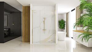 Ușă de duș Rea Hugo 100 Gold Brush + Panou de duș 30