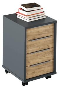 Container, grafit/stejar artisan, RIOMA NEW TYP 14