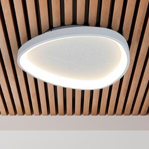 Näve Plafonieră LED Argesa Ø 60,5 cm, albă, CCT, telecomandă, reglabil, Alb, Camera de zi / sufragerie, Metal, Modern