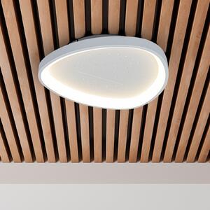 Näve Plafonieră LED Argesa, Ø 42 cm, albă, CCT, telecomandă, reglabil, Alb, Camera de zi / sufragerie, Metal, Modern
