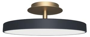 UMAGE plafonieră LED Asteria UP PLUS, antracit Ø 31 cm CCT, reglabil, Negru, Camera de zi / sufragerie, Metal, Design
