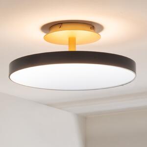 UMAGE plafonieră LED Asteria UP PLUS, antracit Ø 43 cm CCT, reglabil, Negru, Camera de zi / sufragerie, Metal, Design