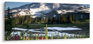 Tablou - Muntele Rainier (120x50 cm)