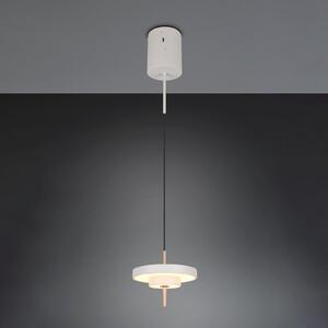 Trio Lighting Lampă suspendată LED Keaton, gri deschis, Ø 20 cm, metal, CCT, reglabil, Gri, Camera de zi / sufragerie, Metal