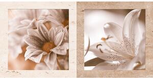 Faianta 30186-HL-TV EVIA rectificata bej floral, mata, dreptunghiulara, 30 x 60 cm