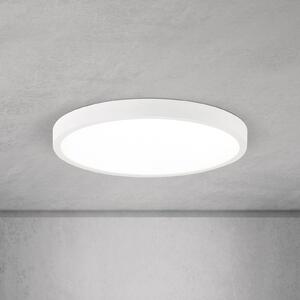 ORION Plafonieră LED Disc, albă Ø 28 cm, CCT, metal/plastic, reglabil, Alb, Camera de zi / sufragerie, Aluminiu, Modern