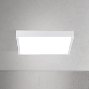 ORION Plafonieră LED pentru tavan Disc, albă, lungime 24 cm, CCT, metal, reglabil, Alb, Camera de zi / sufragerie, Aluminiu, Modern