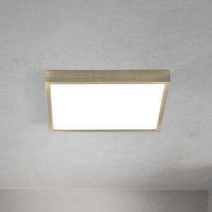 ORION Plafonieră LED pentru tavan Disc, culoare alamă antică, lungime 24 cm, CCT, reglabil, Bronz / Alamă Veche, Camera de zi / sufragerie, Aluminiu, Modern