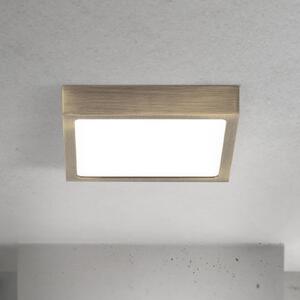ORION Plafonieră LED pentru tavan Disc, culoare alamă antică, lungime 14 cm, CCT, reglabil, Bronz / Alamă Veche, Camera de zi / sufragerie, Aluminiu, Modern