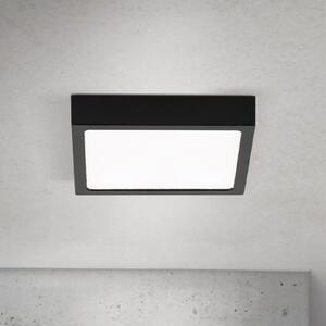 ORION Plafonieră LED Disc, negru Lungime 14 cm, CCT Metal, reglabil, Negru, Camera de zi / sufragerie, Aluminiu, Modern