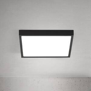 ORION Plafonieră LED pentru tavan Disc, negru Lungime 24 cm, CCT Metal, reglabil, Negru, Camera de zi / sufragerie, Aluminiu, Modern