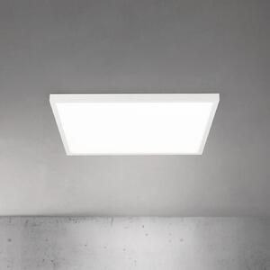ORION Plafonieră LED pentru tavan Disc, albă, lungime 60 cm, CCT, metal, reglabil, Alb, Camera de zi / sufragerie, Aluminiu, Modern