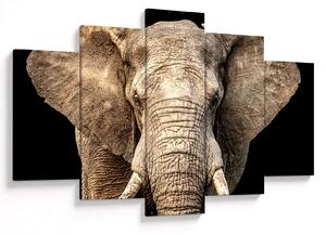 Tablou - Elefant african (150x105 cm)