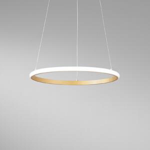 Luce Ambiente Design Lampă suspendată LED Axis, Ø 40 cm, culoare aurie, metal, CCT, Auriu / Alamă, Camera de zi / sufragerie, Metal, Modern