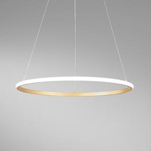 Luce Ambiente Design Lampă suspendată LED Axis, Ø 60 cm, culoare auriu, metal, CCT, Auriu / Alamă, Camera de zi / sufragerie, Metal, Modern