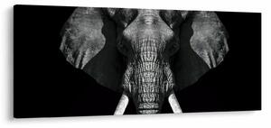 Tablou - Elefant pe fundal negru (120x50 cm)