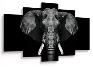 Tablou - Elefant pe fundal negru (150x105 cm)