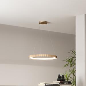 Luce Ambiente Design Lampă suspendată LED Niike, auriu, Ø 50 cm, metal, CCT, Auriu / Alamă, Camera de zi / sufragerie, Metal, Modern