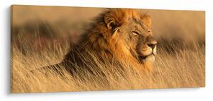 Tablou - Parcul Național Etosha (120x50 cm)