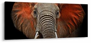 Tablou - Elefanți cu Tsavo (120x50 cm)