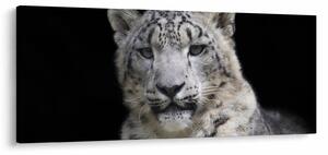 Tablou - Snow Leopard (120x50 cm)