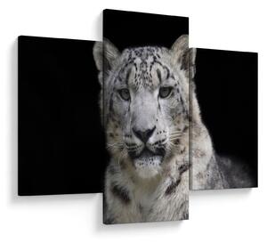 Tablou - Snow Leopard (90x60 cm)