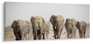 Tablou - Turmă de elefanți (120x50 cm)