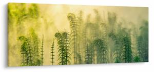 Tablou - Detaliu de primăvară natura cețoasă (120x50 cm)