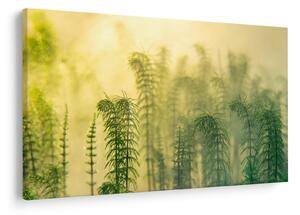 Tablou - Detaliu de primăvară natura cețoasă (90x60 cm)