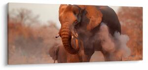 Tablou - Marele elefant african (120x50 cm)