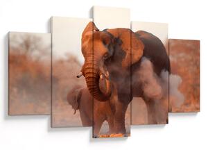 Tablou - Marele elefant african (150x105 cm)