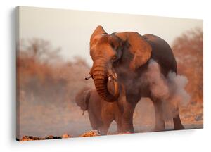Tablou - Marele elefant african (90x60 cm)